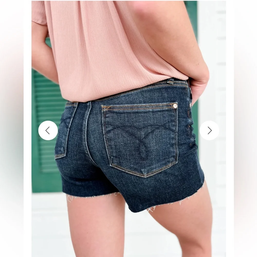 Judy‎ Blue Love Affair Button Fly Cut Off Shorts. Women’s 2XL: 18-20W. - Picture 2 of 8